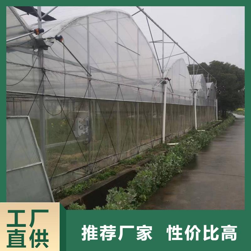 順德現(xiàn)代化農(nóng)業(yè)新篇章 智能大棚引領(lǐng)蔬菜水產(chǎn)花卉育苗產(chǎn)業(yè)升級(jí)